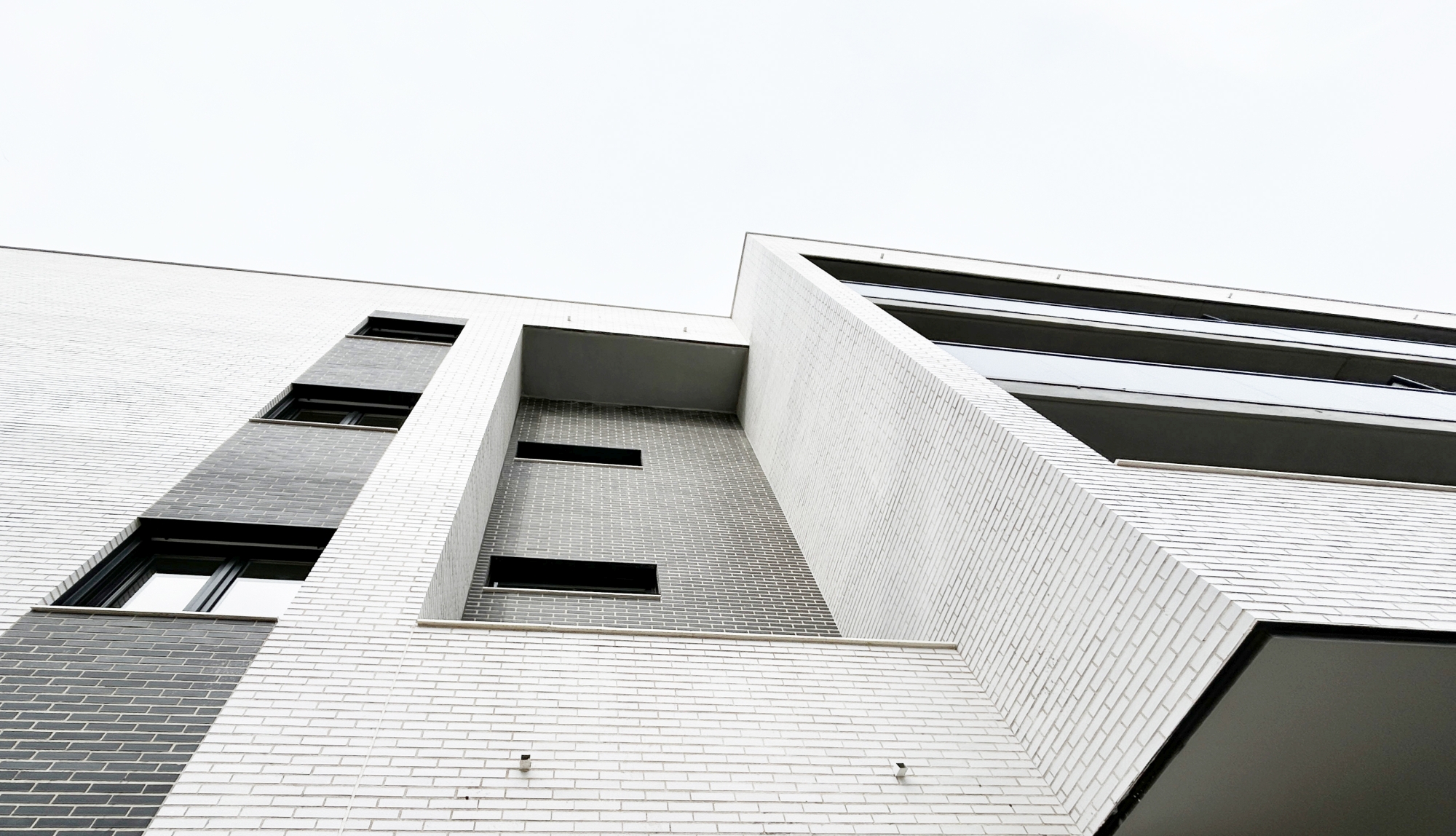 Pinar de los Rosales02